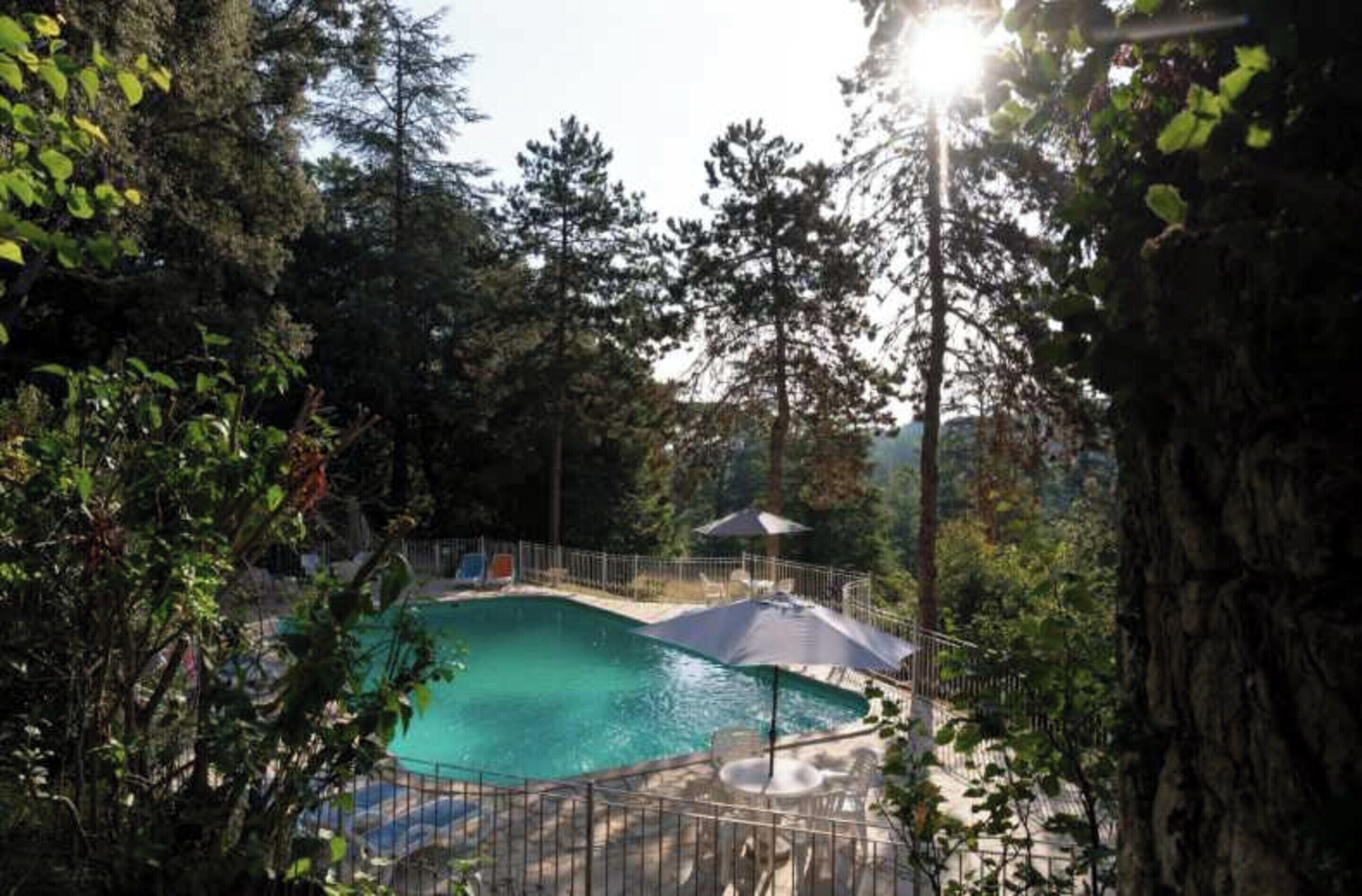 Ein von Bäumen umgebener Pool, mit Zaun und Sonnenschirmen für Schatten.