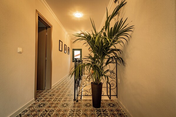 A hallway with patterned flooring, a potted plant, a door, and a wall-mounted light fixture.