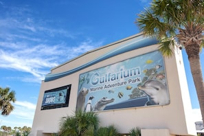 A sign for the Gulfarium Marine Adventure Park with a dolphin and other marine life illustrations. - NEW! Beachwalk Bliss~5 Min to Beach~Pool~Dog Friendly (Fort Walton Beach)