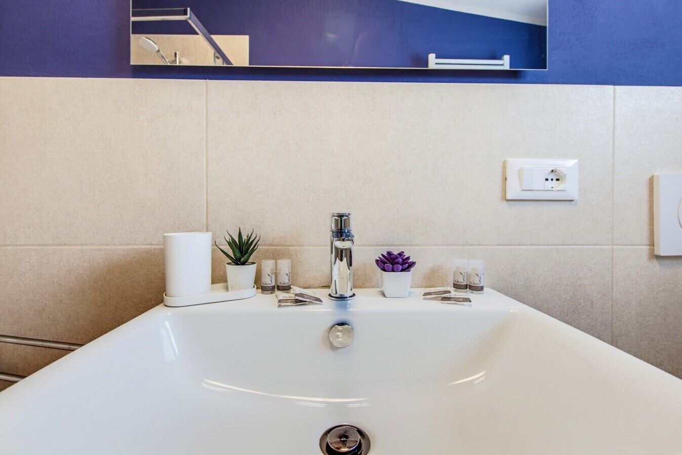 Un bagno con un lavandino bianco, uno specchio, una pianta in vaso e articoli da toilette sul mobile.