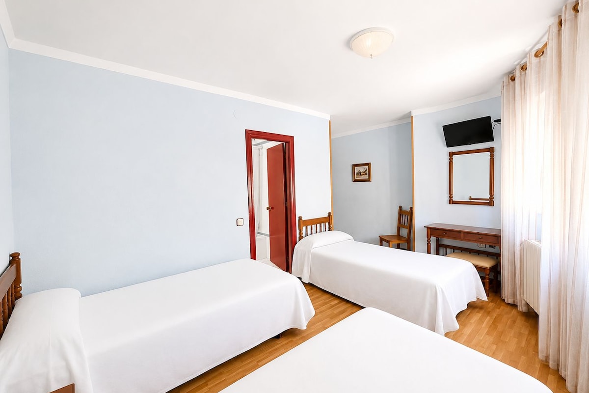 Habitación de hotel con dos camas individuales, un escritorio de madera, una silla, un televisor y un espejo.