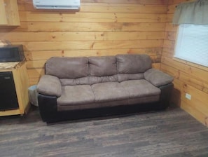 Living area - Cozy 1-bedroom cabin in pleasant Rogers close to all the RRG attractions (Rogers)
