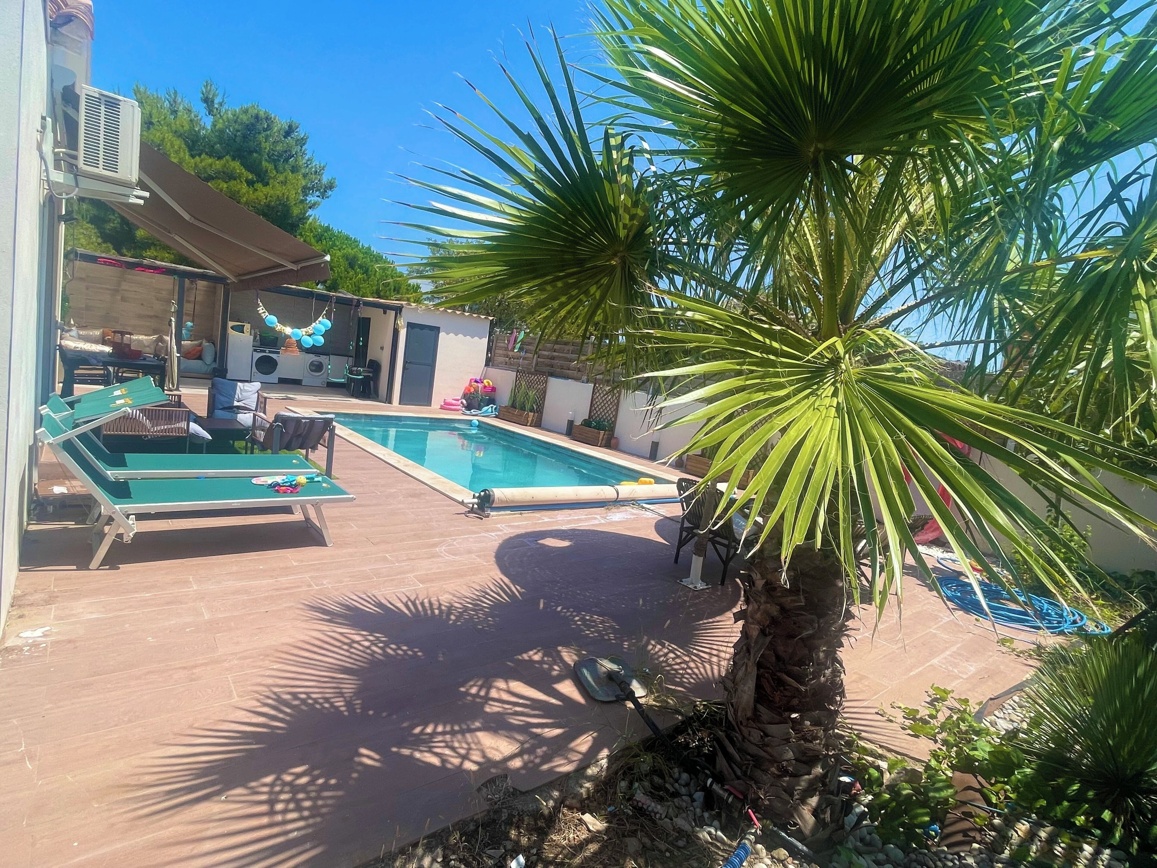 Une piscine avec des chaises longues, un palmier et un espace patio couvert.