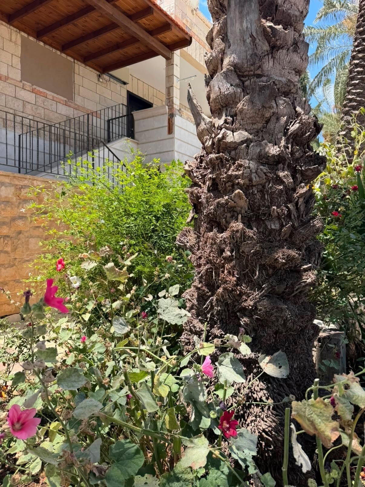 A tree trunk with a rough texture, surrounded by green foliage and pink flowers.