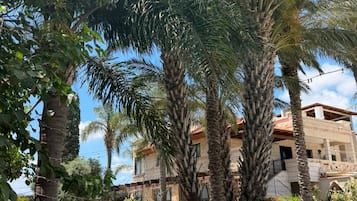 A residential area with palm trees, a paved walkway, and a building with a red roof.