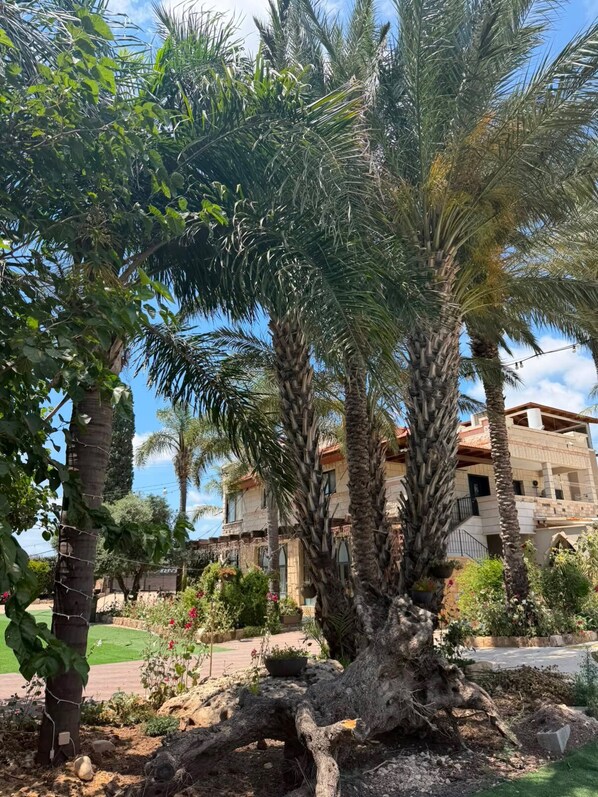 A residential area with palm trees, a paved walkway, and a building with a red roof.