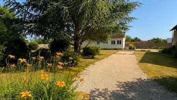 En grusvej der fører til et hus med et stort træ og en blomsterbed med gule blomster.