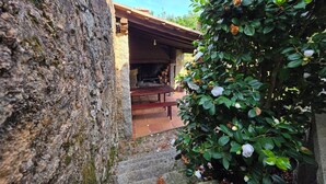 A stone wall, a wooden bench, and a bush with white flowers.