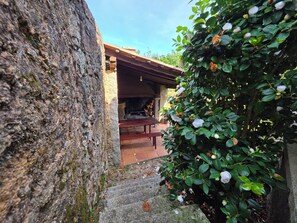 A stone wall, a wooden bench, and a bush with white flowers.