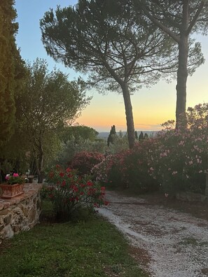 A garden with a stone wall, flowering plants, and a pathway leading to a view of distant trees and a clear sky. - Casa Due - Organic Farmhouse in the heart of Maremma - Paradise for Families (Toscana)
