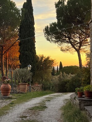 A gravel path leading through a garden with potted plants and a stone wall. - Casa Uno -Organic Farmhouse Podere Acquarello in the Maremma  - panoramic views. (Toscana)