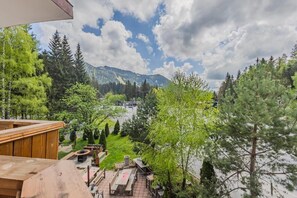Property grounds - Casa Vlasin  (Brașov)