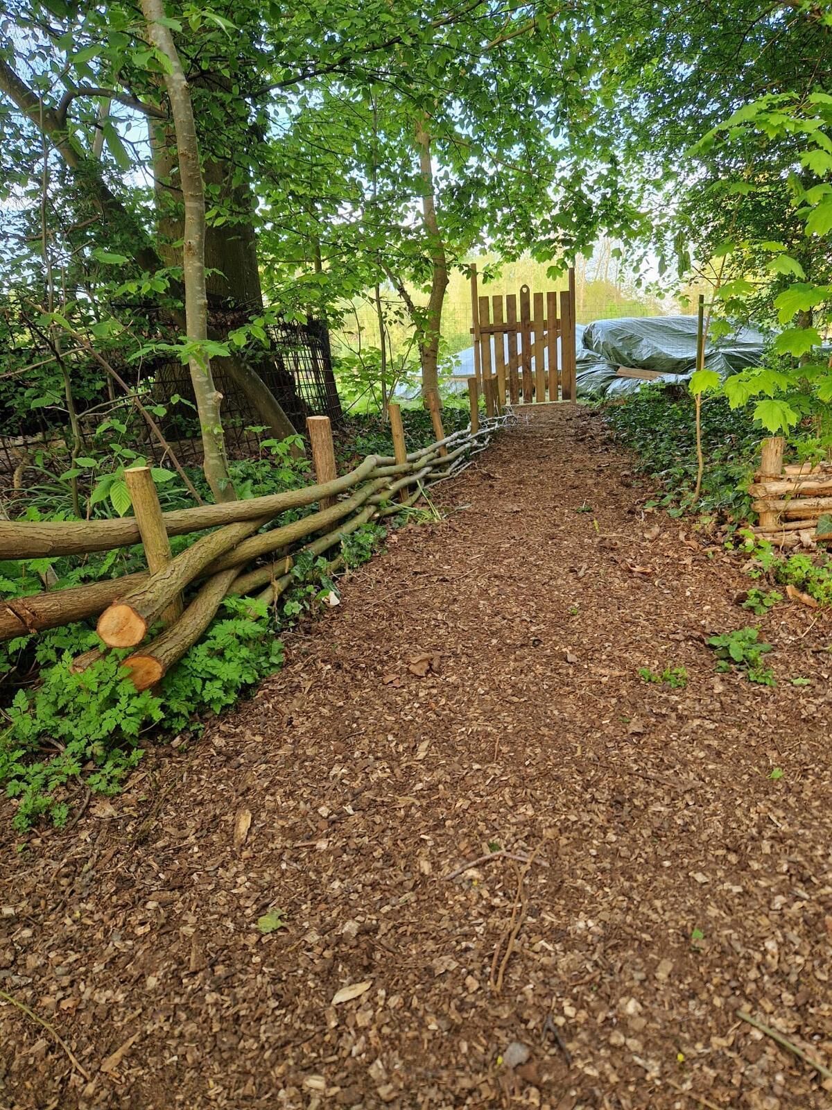 A forested path leading to a wooden gate.