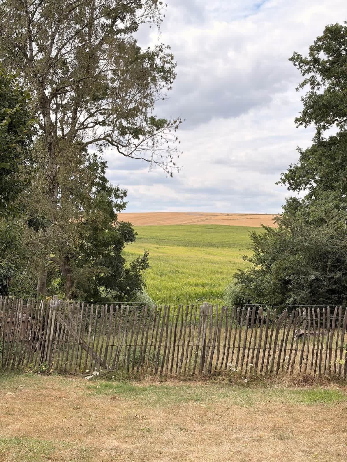 Un paysage rural avec une clôture en bois, des arbres et un champ.