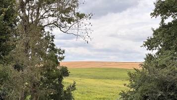 Paesaggio rurale con una recinzione in legno, alberi e un campo.