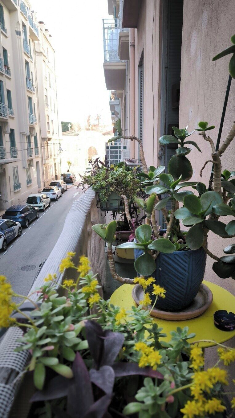 Ein Balkon mit Blumentöpfen und Blumen, mit Blick auf eine Straße mit parkenden Autos und Gebäuden.