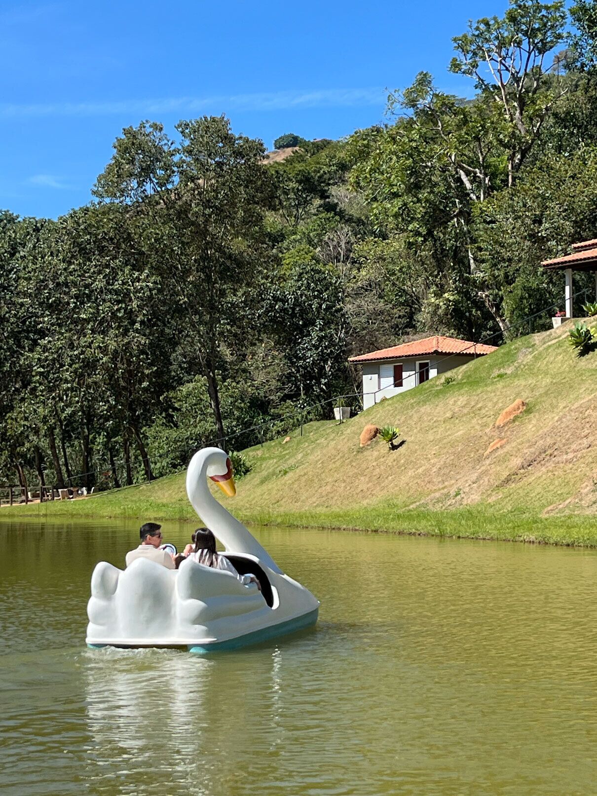 A swan-shaped boat with passengers on a calm lake, surrounded by lush greenery and a hill with a building.