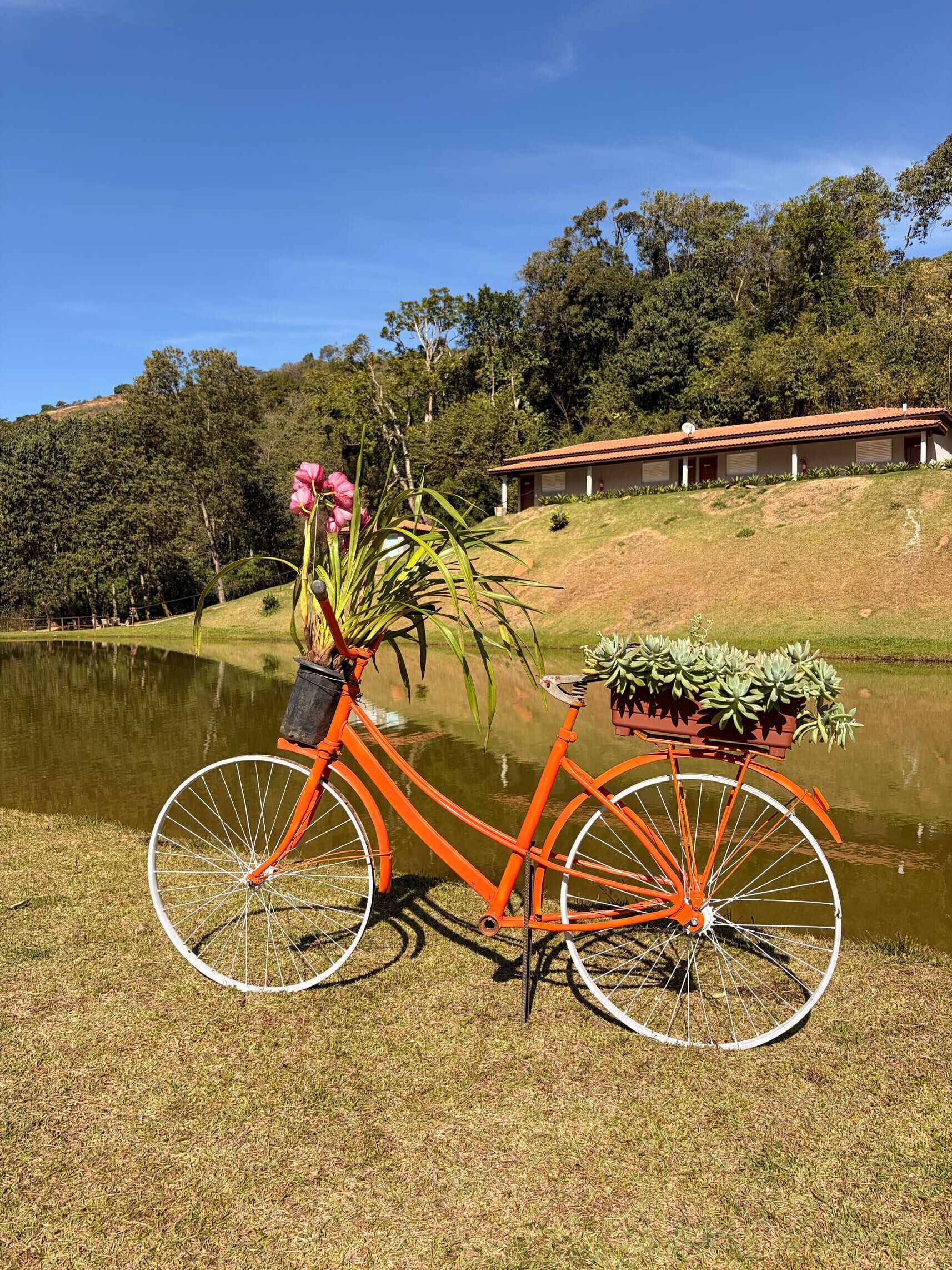 A bicycle with a basket, parked on grass beside a calm body of water, with a house and trees in the background.