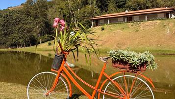 A bicycle with a basket, parked on grass beside a calm body of water, with a house and trees in the background.
