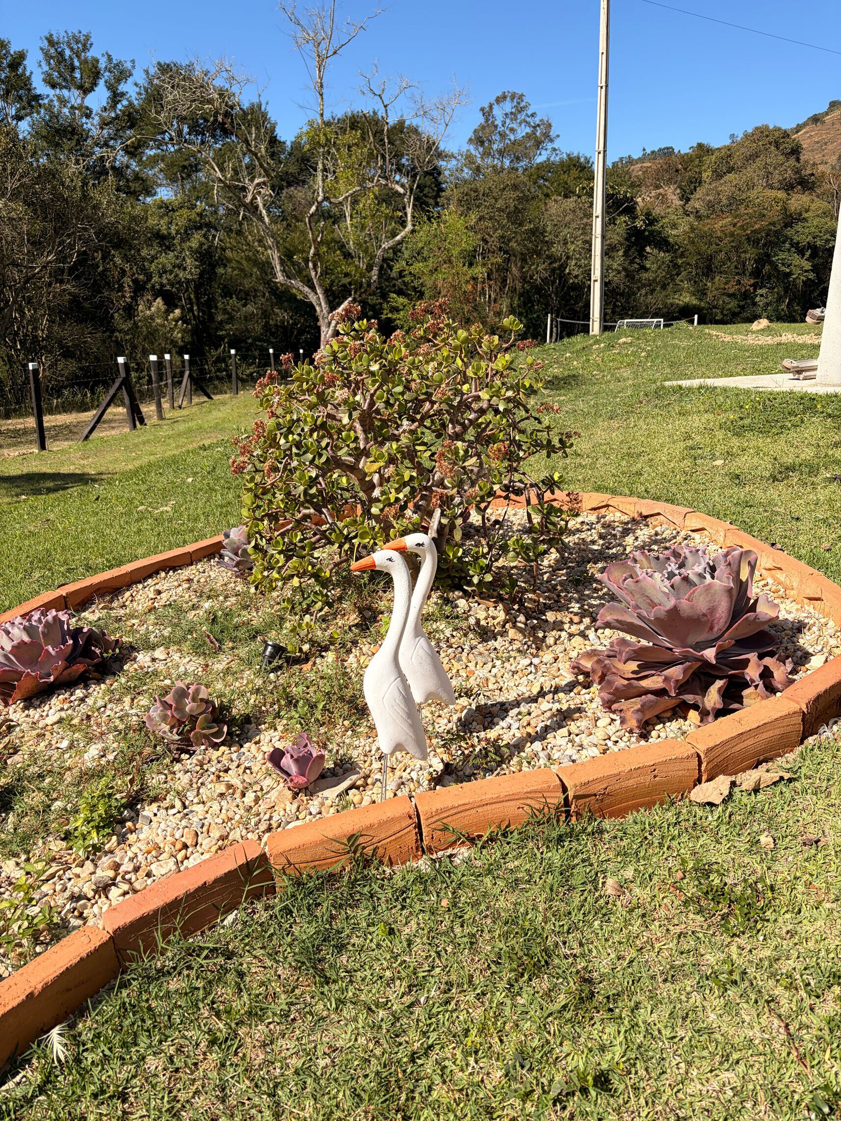 Un jardín con una estatua de cisne blanco, rodeado por un borde de ladrillo, con árboles y un cielo despejado al fondo.
