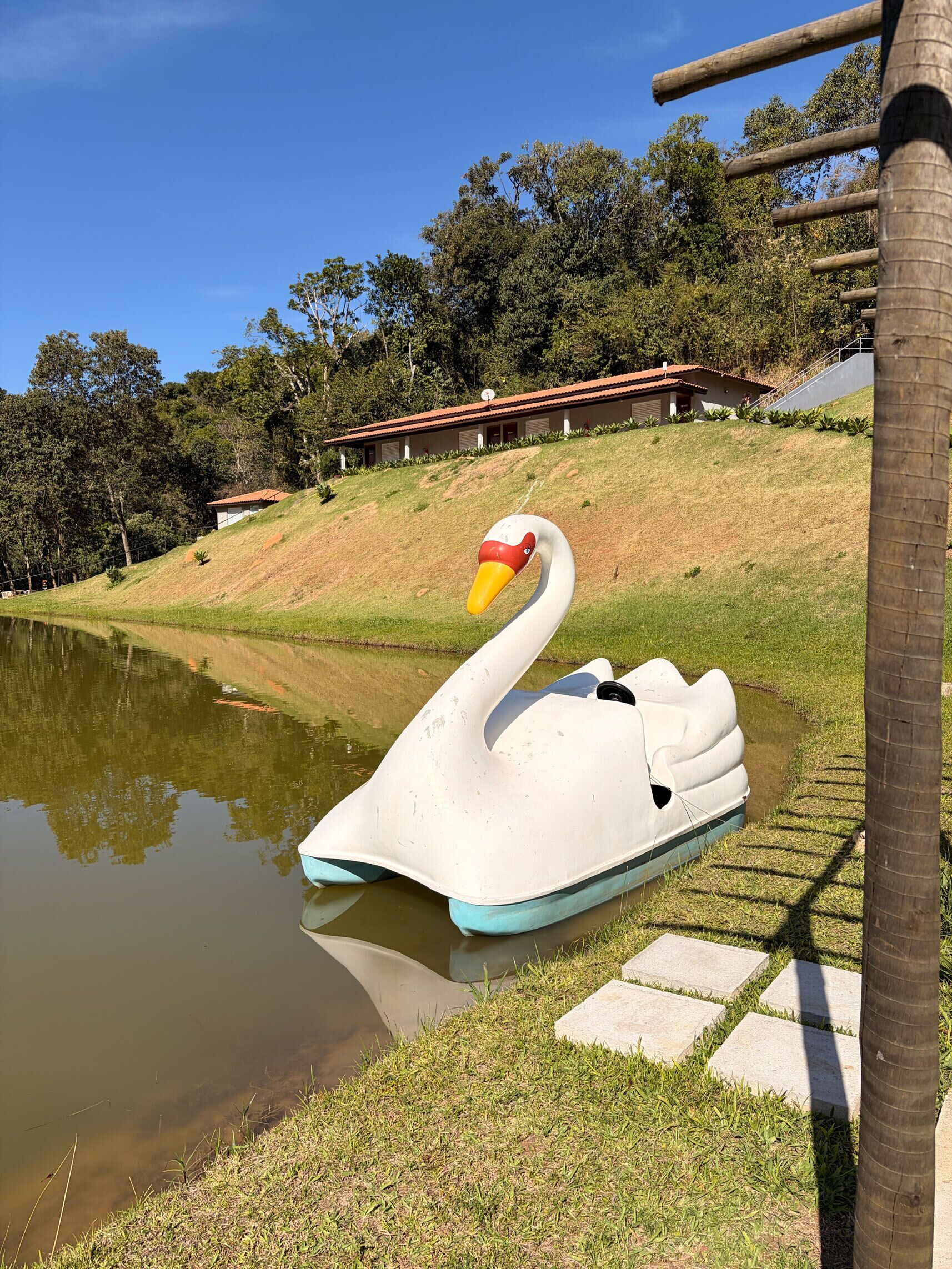 A swan-shaped boat on a calm body of water, surrounded by grassy banks and trees.