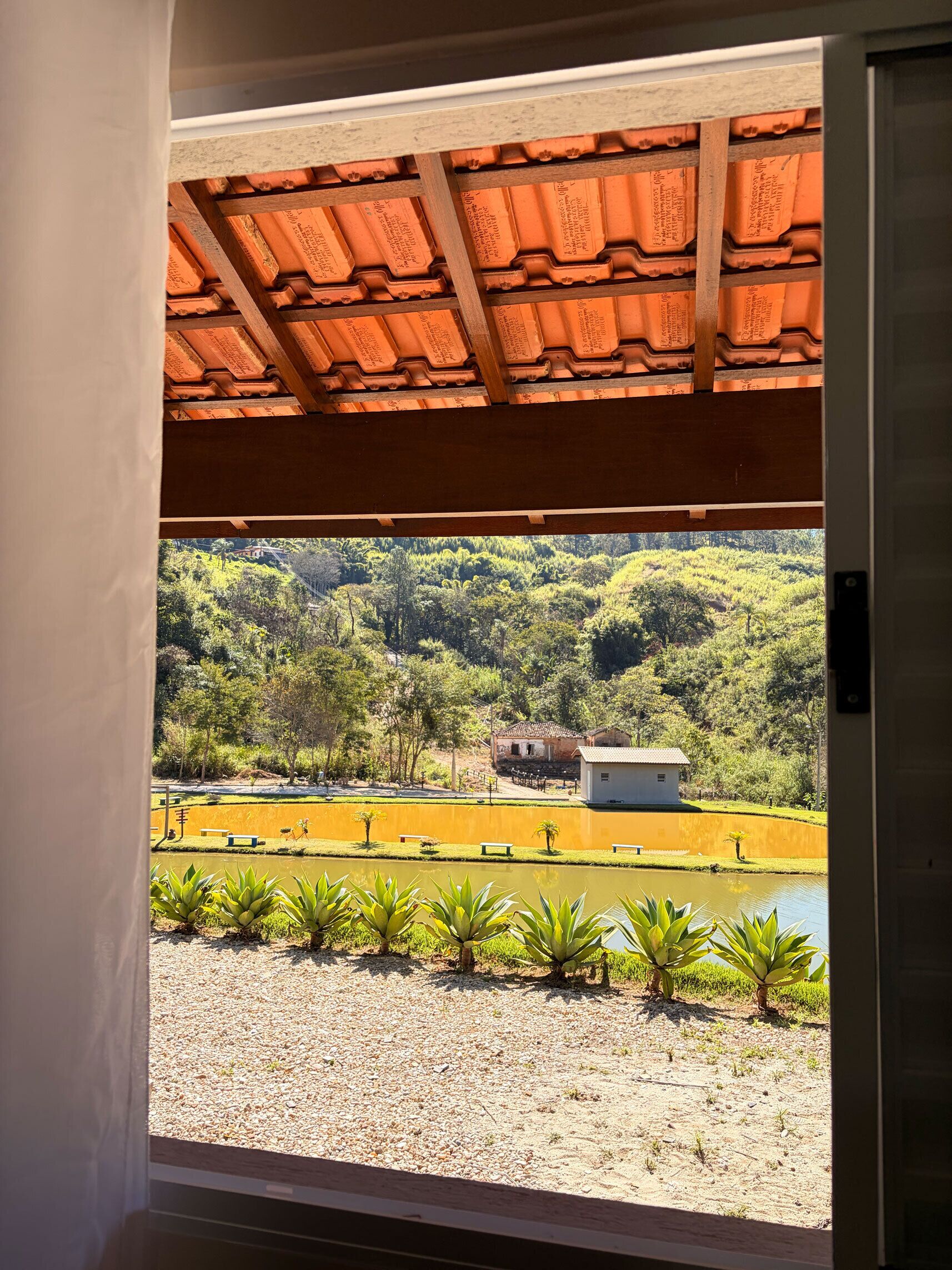 A view from a window with a tiled ceiling and a view of a landscaped area with a pond, plants, and buildings.