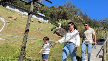 Um caminho com pérgula de madeira, uma área gramada e um edifício ao fundo.