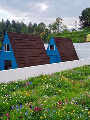 Two blue-roofed buildings with a white wall in the foreground and a field of colorful wildflowers.