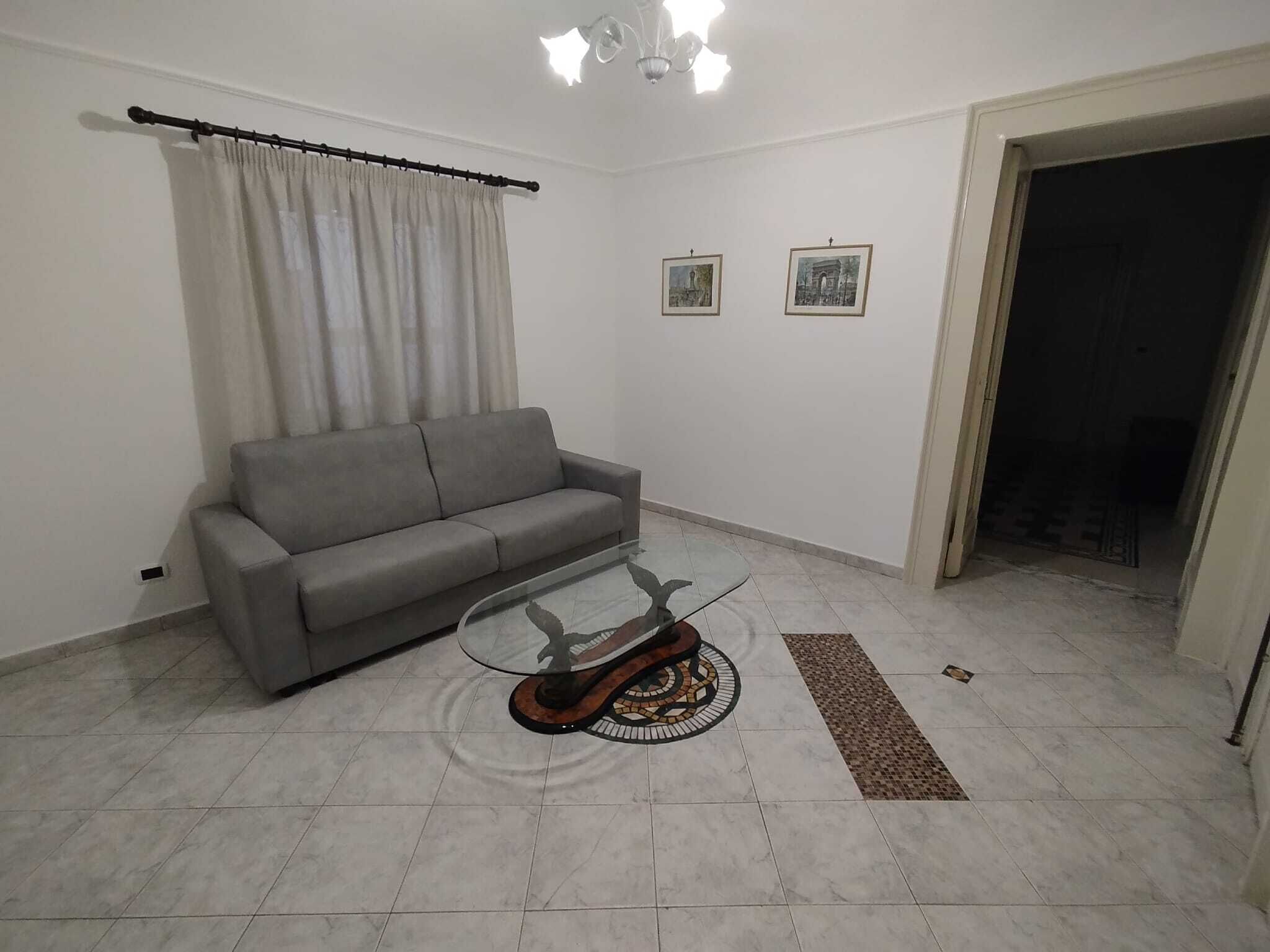 Un salon avec un canapé gris, une table basse en verre, un tapis à motifs et deux tableaux encadrés accrochés au mur.