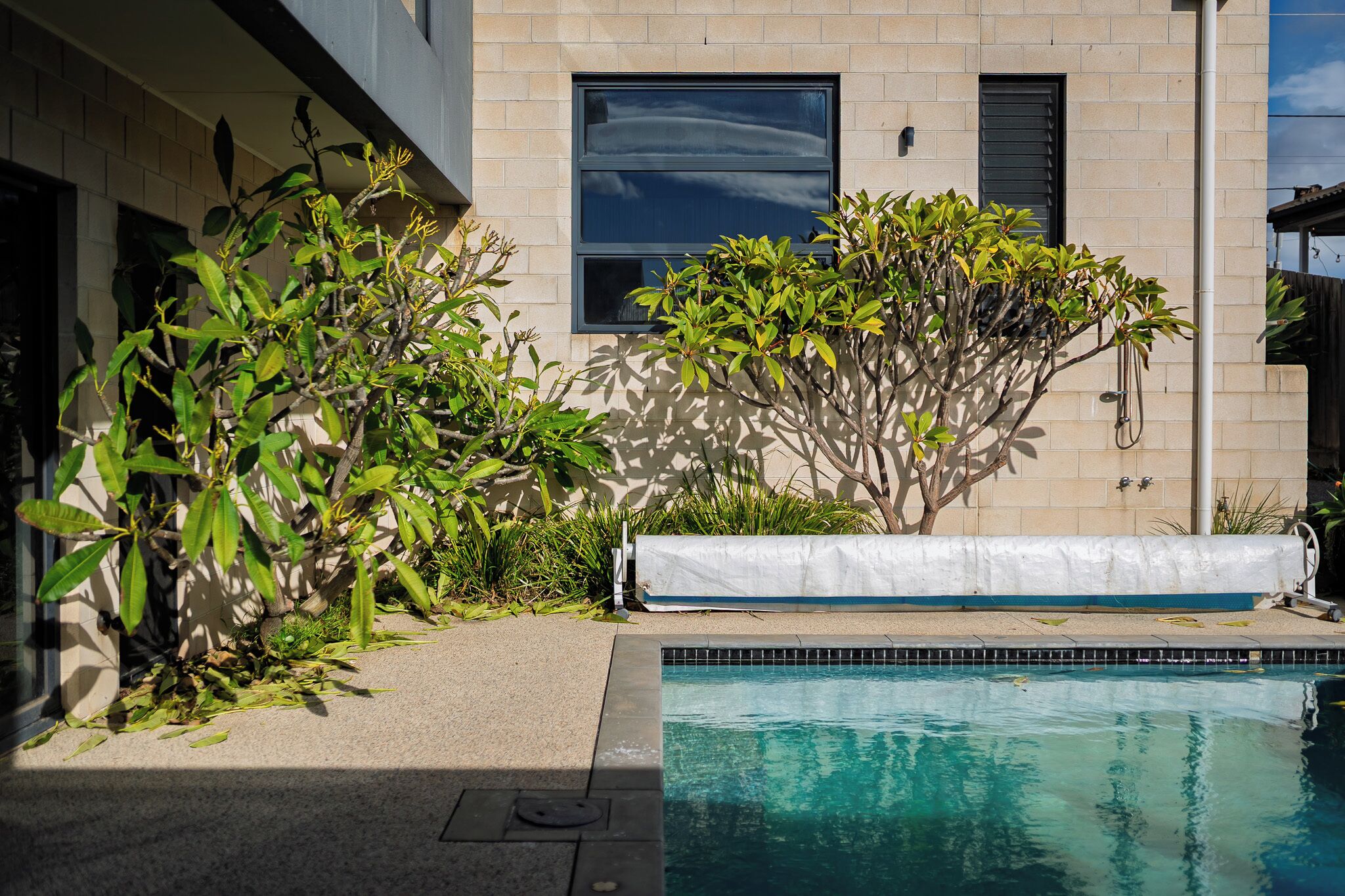 A swimming pool with a tiled edge, surrounded by greenery and a building with a window and a door.