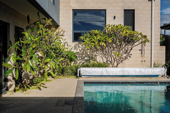 A swimming pool with a tiled edge, surrounded by greenery and a building with a window and a door.