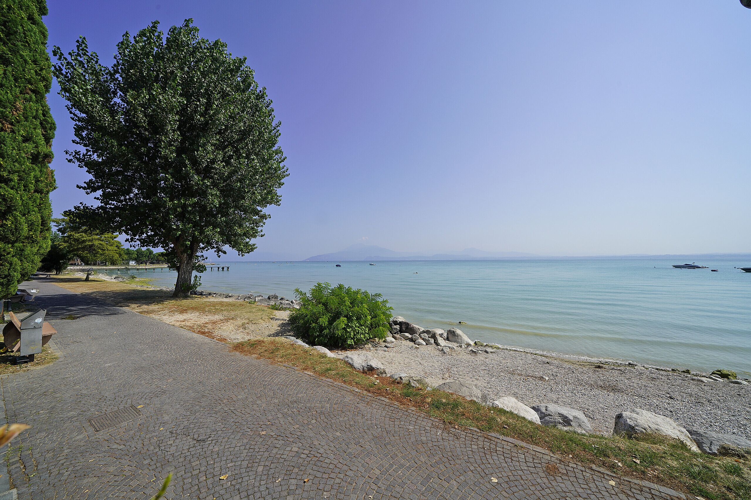 A paved pathway leading to a lakeside area with a large tree and rocky shoreline.