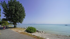 A paved walkway beside a calm body of water with boats, a clear sky, and a large tree. - Casa Matilda in Sirmione (Sirmione)
