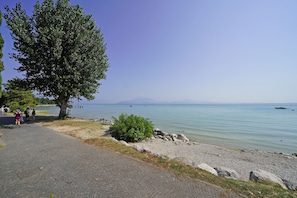 A paved walkway beside a calm body of water with boats, a clear sky, and a large tree. - Casa Matilda in Sirmione (Sirmione)
