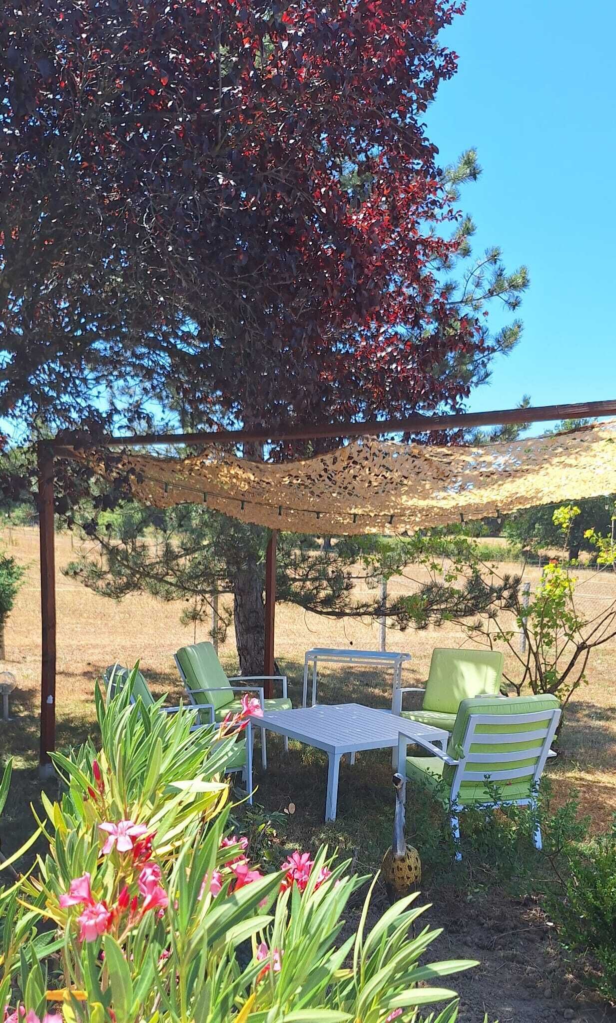 Un espace extérieur aménagé avec une table et des chaises, entouré de verdure et d’un arbre aux feuilles rouges.