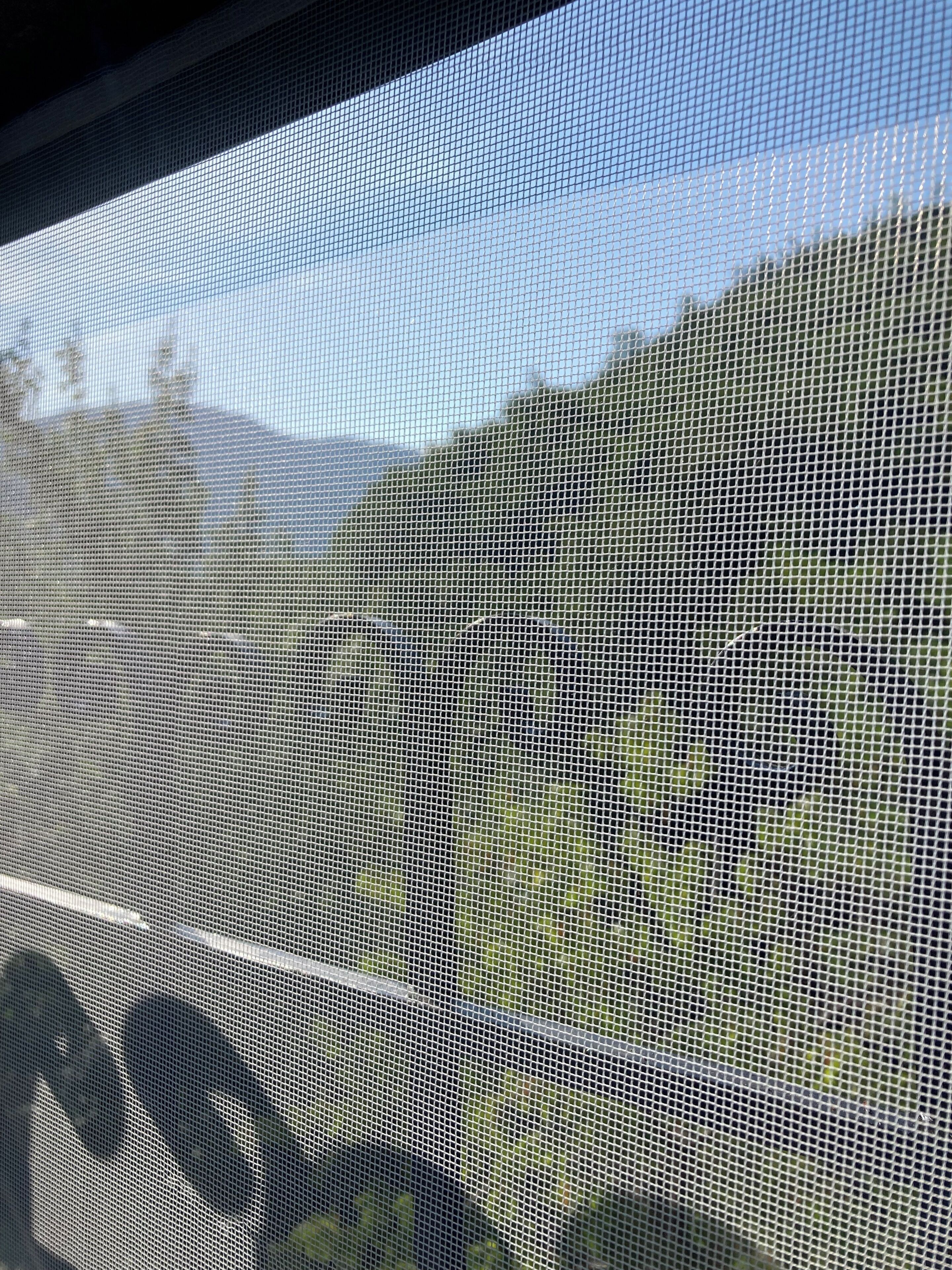 Vista a través de una ventana con mosquitera, mostrando un paisaje con árboles y una montaña al fondo.