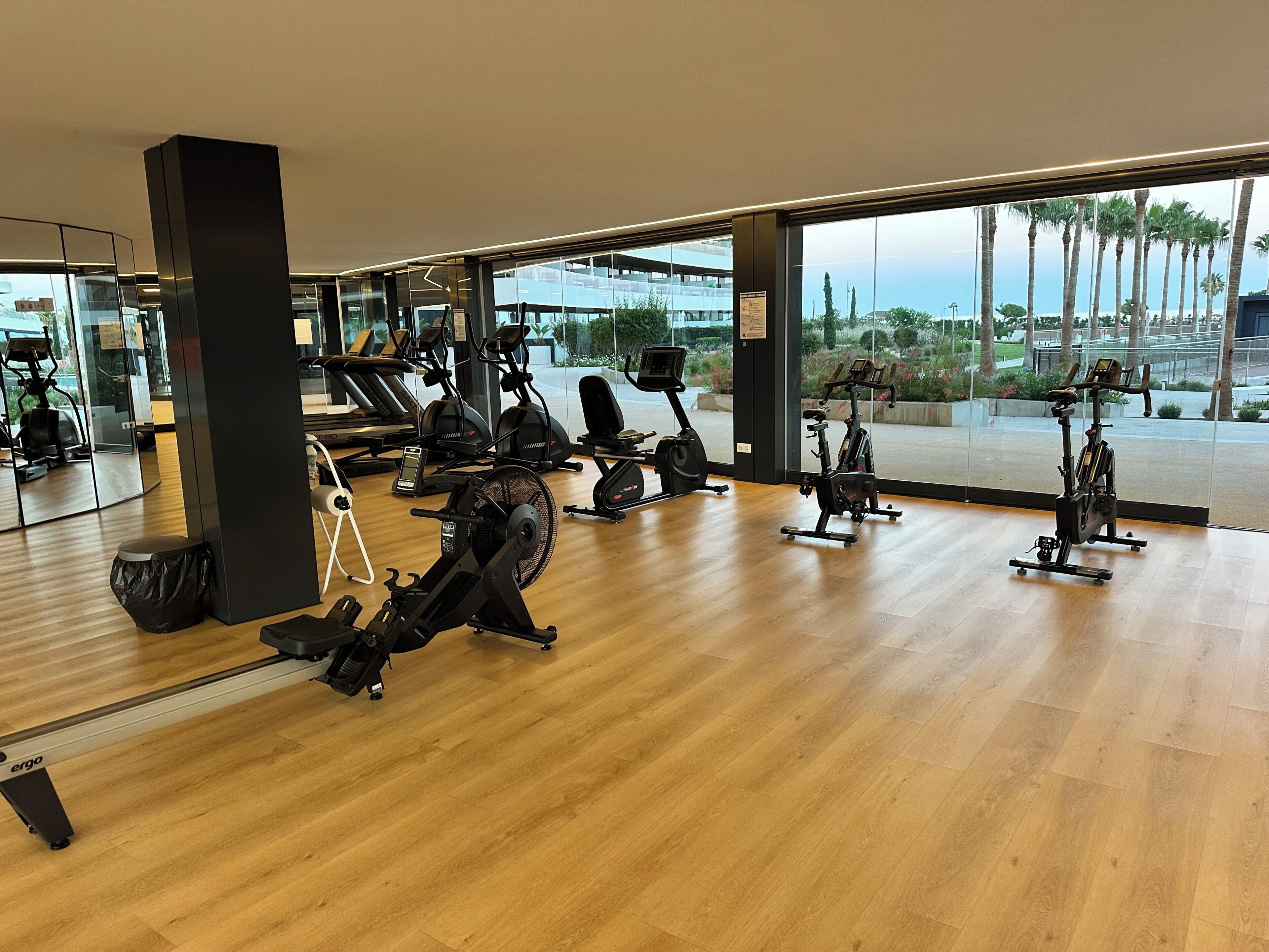 Une salle de sport équipée de divers appareils d’exercice, dotée de grandes fenêtres et offrant une vue sur des palmiers.