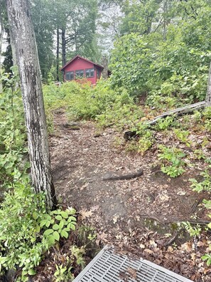 A forested area with a red building, a drainage grate, and dense vegetation. - WATERFRONT ON THOMAS POND (Casco)