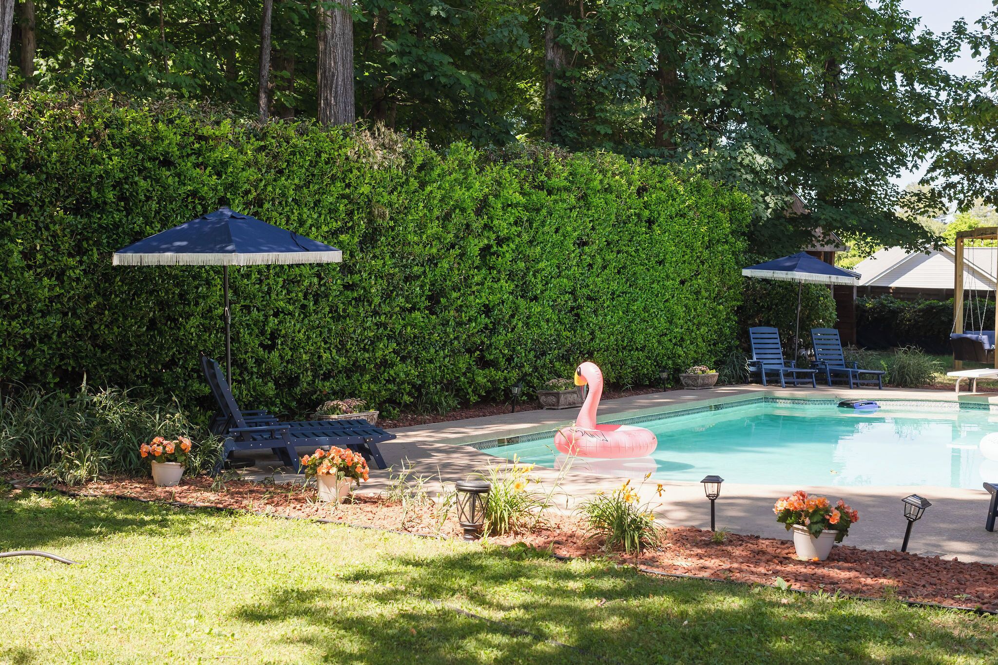 A backyard with a swimming pool, lounge chairs, and a flamingo float.