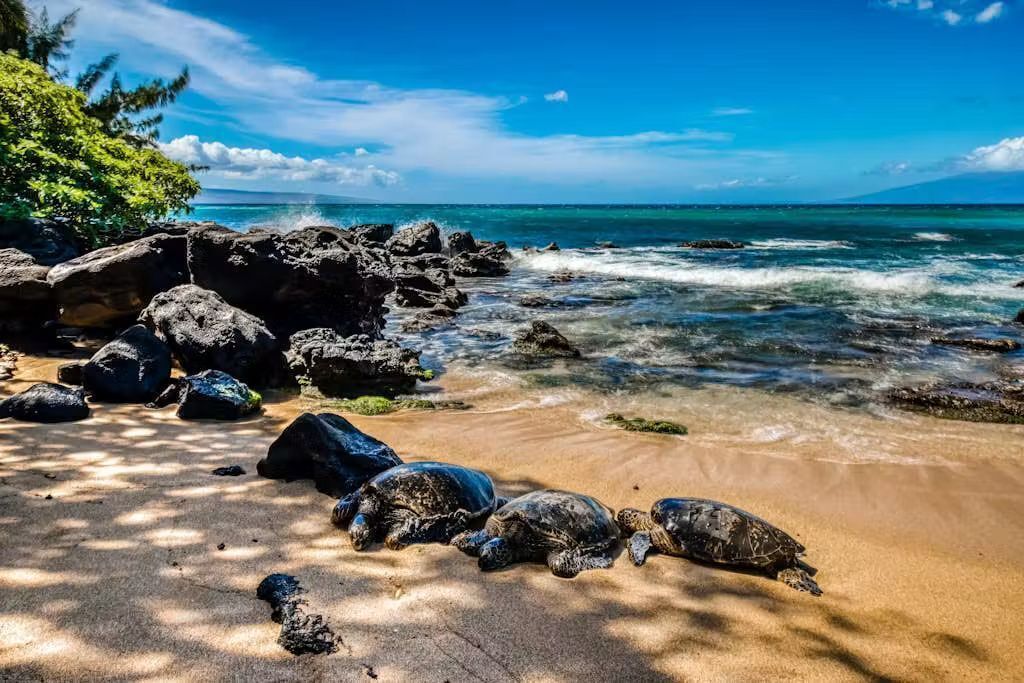 A beach with large rocks, clear blue water, and a distant mountain.