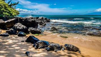 A beach with large rocks, clear blue water, and a distant mountain.