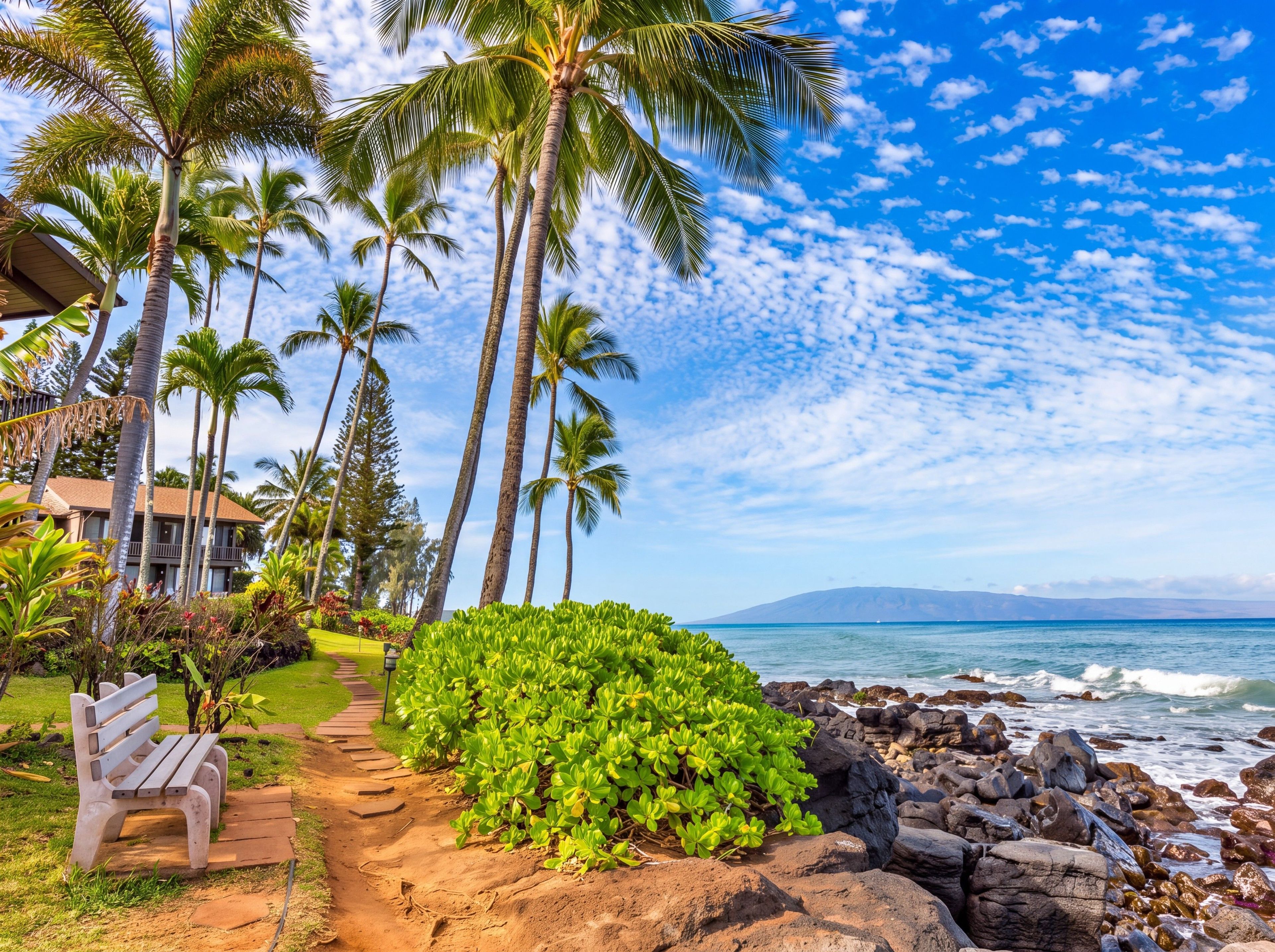 A pathway leading to a beach with palm trees and a bench.