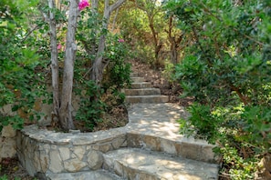 Uma escadaria de pedra rodeada por vegetação e árvores.