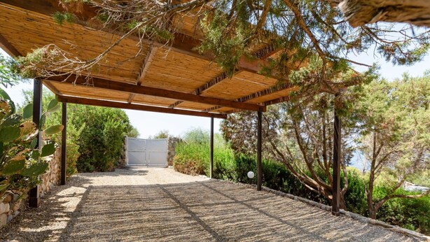 Un espacio al aire libre cubierto con un sendero de grava que conduce a un edificio, rodeado de follaje y árboles.
