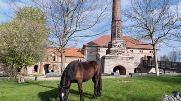 Un cheval broute dans un champ verdoyant, avec un bâtiment historique en arrière-plan.