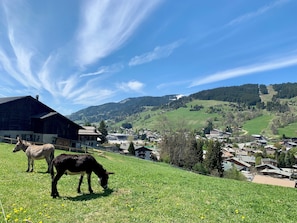 Ländliche Landschaft mit blauem Himmel, einer kleinen Herde weidender Esel und einem Dorf im Hintergrund.
