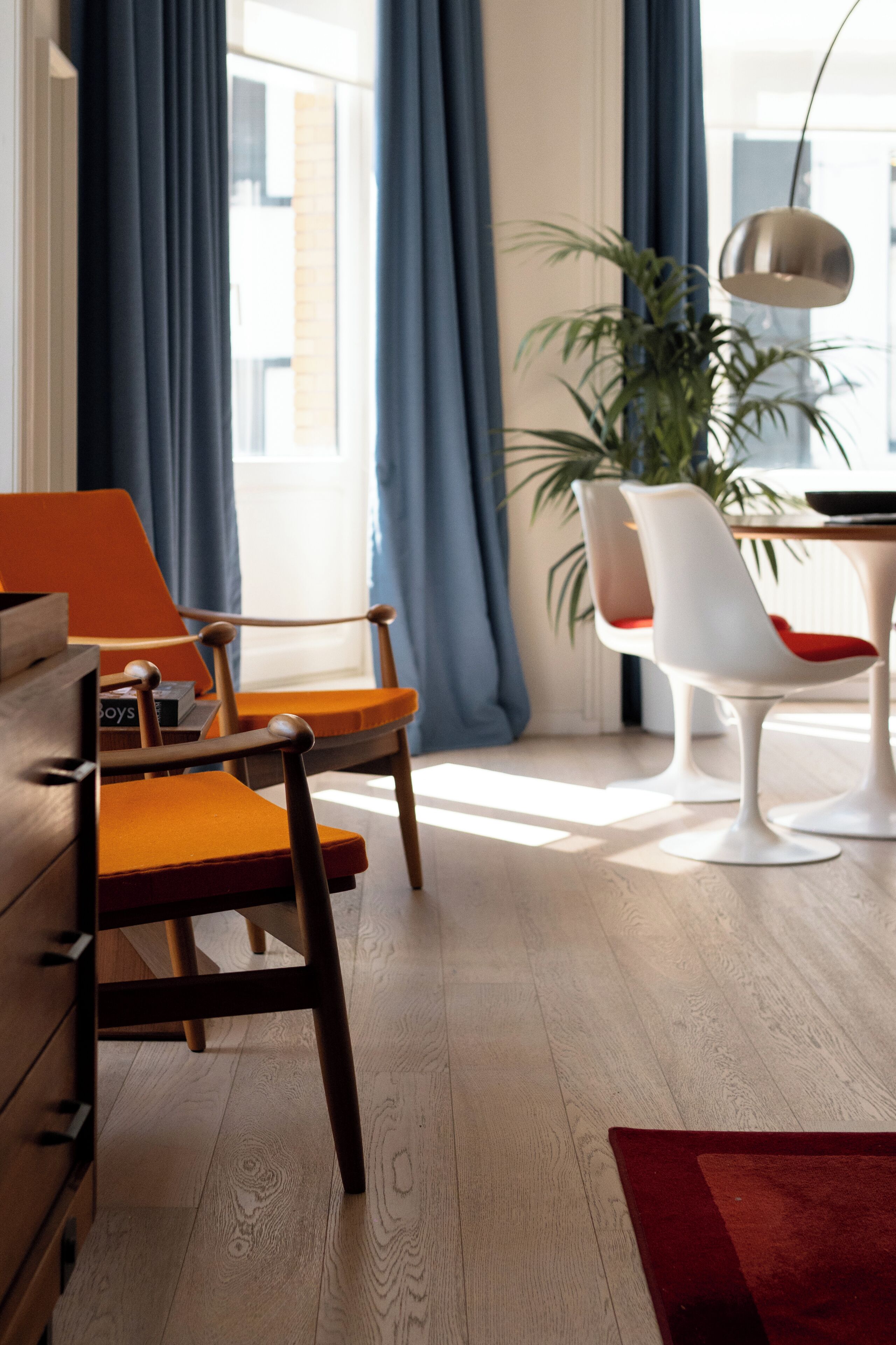 A modern living room with a wooden floor, a sofa, two chairs, a dining table, and a potted plant.