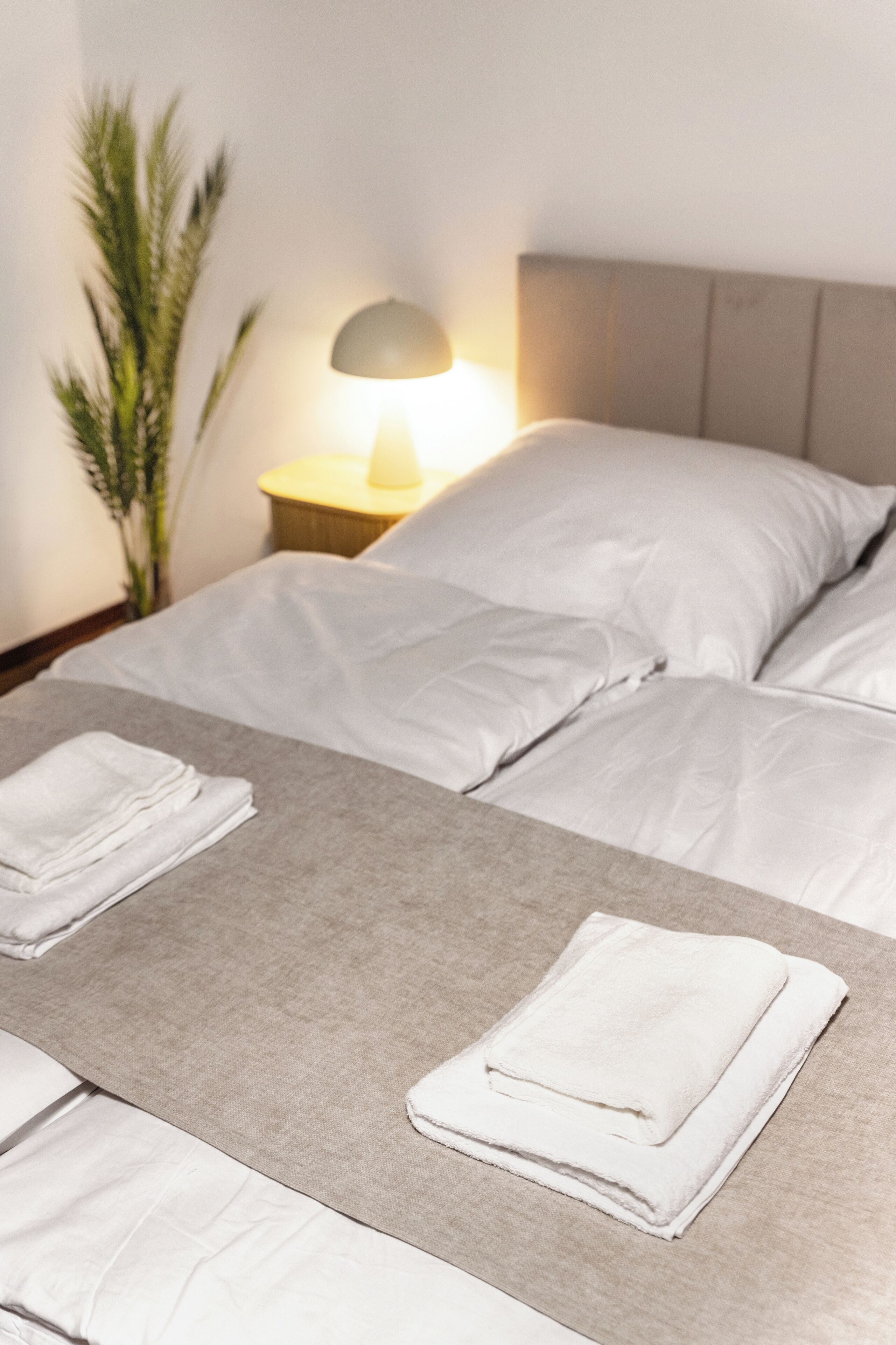 Une chambre d’hôtel avec un lit, des oreillers, une table de chevet avec une lampe et une plante.