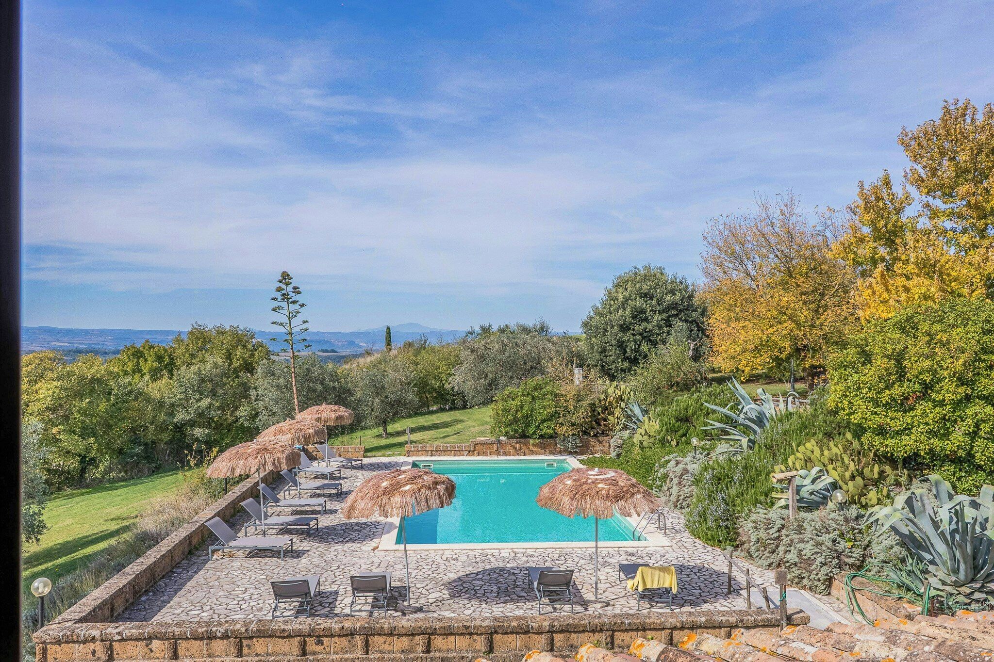 A swimming pool with lounge chairs and umbrellas, surrounded by greenery and trees.