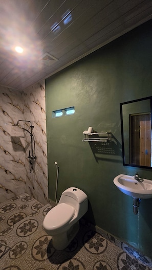 Shower, towels, soap, toilet paper